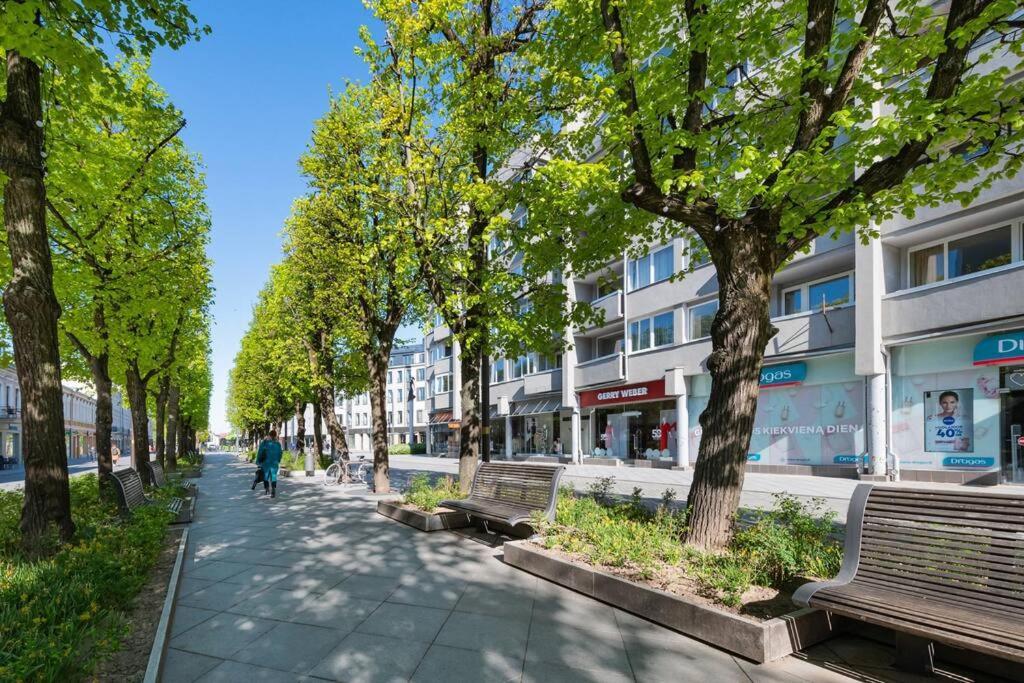 2 Bd By Hostlovers Kaunas