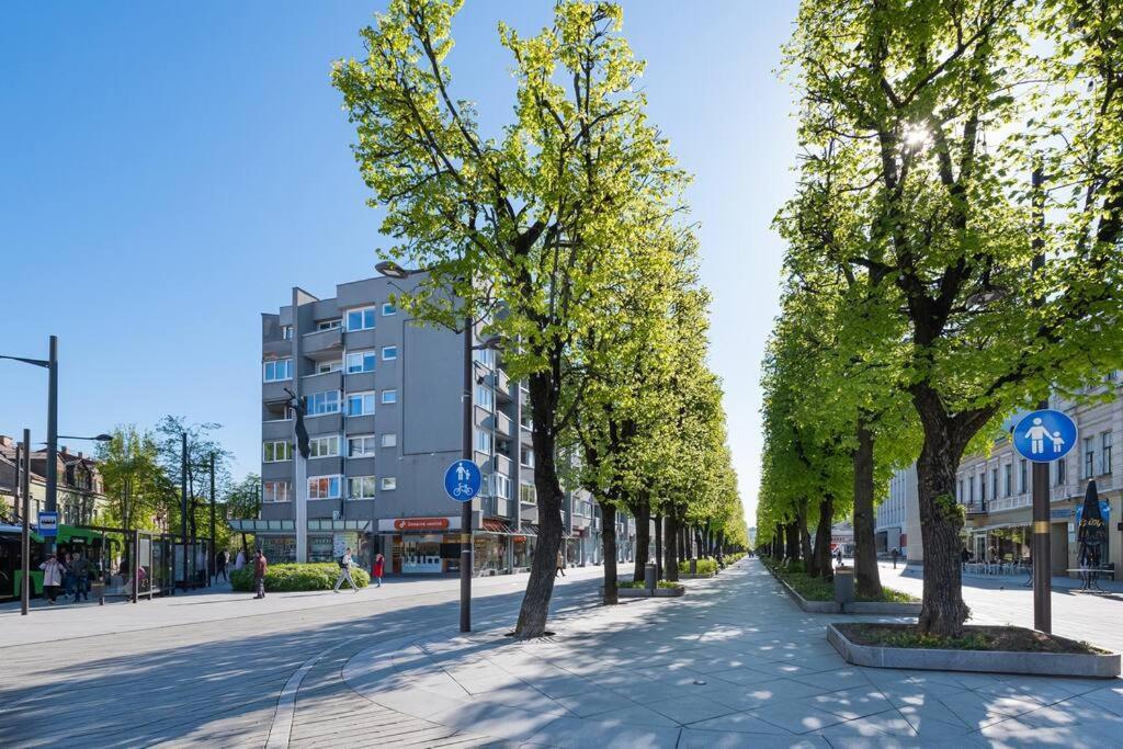 Apartment 2 Bd By Hostlovers Kaunas